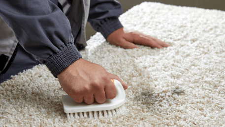 Professional Rug Cleaning Maribyrnong